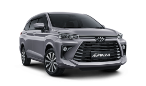 1-avanza-purplish-silver-300x178-1.png