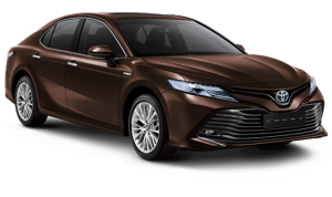 CAMRY-HB-BROWN-300x178-1.png
