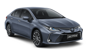 NEW-ALTIS-CALESTITE-GRAY-METALLIC-300x178-1.png