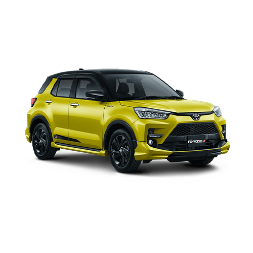 raize-yellow-black.png